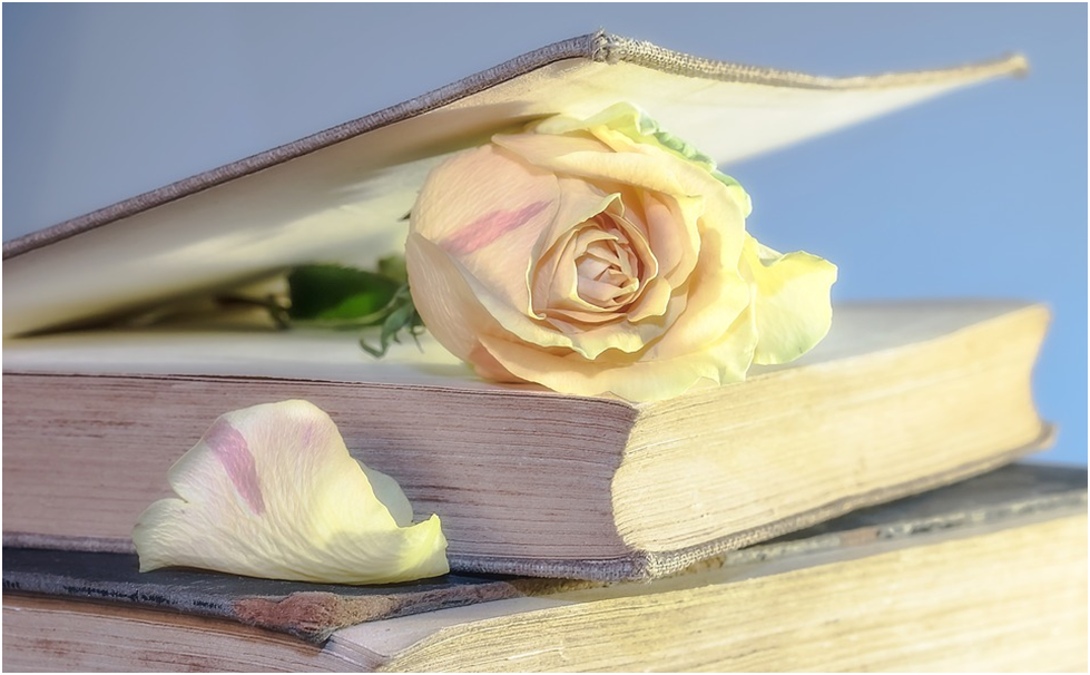 Books with a rose women sharing their frontline